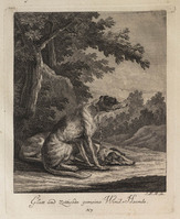 KG 01073
          <br/>
          Entwurf einiger Thiere. Erster Theil. (18 bladen)
          <br/>
          <em>Ridinger, Johann Elias (1698-1767)</em>
